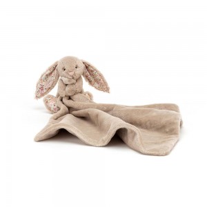 Chupete De Conejo Jellycat Blossom Bea Bunny Soother 10cm x 34cm x 34cm Beige Costa Rica | 80196-MJAI