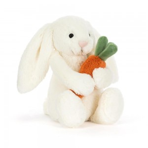 Conejo Jellycat Bashful Carrot Bunny 18cm x 9cm x 8cm Blancas Costa Rica | 14209-NQAX