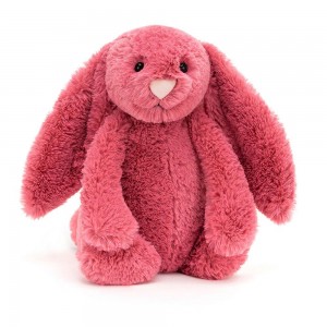 Conejo Jellycat Bashful Cerise Bunny 31cm x 12cm x 9cm Rosas Costa Rica | 08297-EUQC