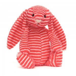 Conejo Jellycat Bashful Evey Bunny 31cm x 12cm x 9cm Rojas Costa Rica | 05792-ENFB