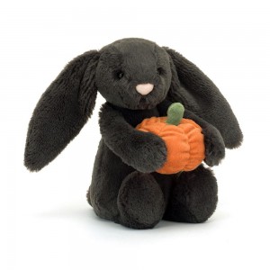 Conejo Jellycat Bashful Pumpkin Bunny 31cm x 12cm x 9cm Negras Costa Rica | 08617-DKFE