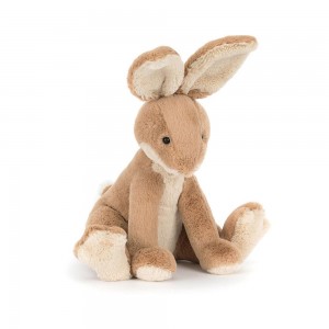Conejo Jellycat Horticus Hare 24cm x 15cm x 17cm Marrones Costa Rica | 26879-OMJZ