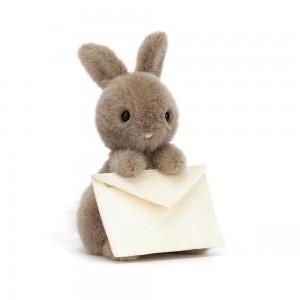 Conejo Jellycat Messenger Bunny 19cm x 12cm x 12cm Marrones Costa Rica | 95317-ZOHP