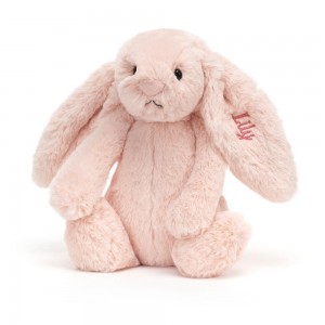 Conejo Jellycat Personalised Bashful Blush Bunny Medium 31cm x 12cm x 9cm Rosas Costa Rica | 28917-FPJV