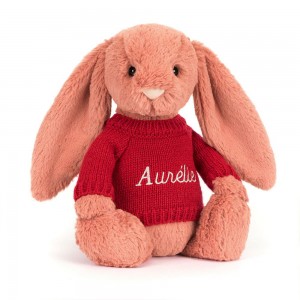 Jerséis Jellycat Bashful Sorrel Bunny with Personalised Jumper 31cm x 12cm x 9cm Naranjas Costa Rica | 25196-VARI