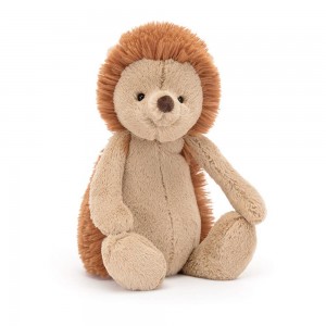 Juguetes Blandos Jellycat Bashful Hedgehog 31cm x 12cm x 9cm Marrones Costa Rica | 81057-PREY