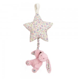 Juguetes Del Bebé Jellycat Blossom Tulip Bunny Star Musical Pull 30cm x 19cm x 3cm Rosas Costa Rica | 40638-MXLR