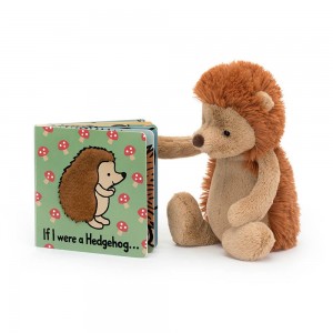 Juguetes Del Bebé Jellycat If I Were A Hedgehog Board Book and Bashful Hedgehog Medium Marrones Costa Rica | 93861-KGLU