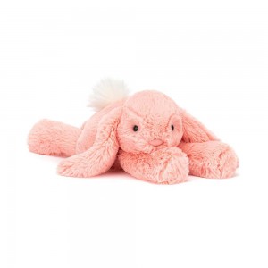 Mascotas Jellycat Smudge Apricot Rabbit 13cm x 11cm x 24cm Naranjas Costa Rica | 62149-XGDP