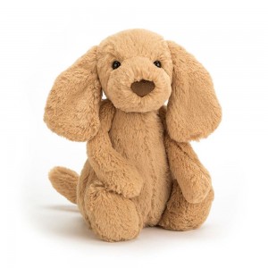 Perros Jellycat Bashful Toffee Puppy 12.2in x 4.7in x 3.5in Marrones Costa Rica | 94138-KDWN