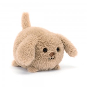 Perros Jellycat Caboodle Puppy 3.9in x 3.5in x 4.3in Beige Costa Rica | 34576-BZMP