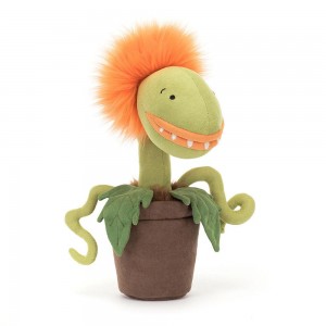 Plants Jellycat Amuseables Carniflore Tammie 27cm x 8cm x 8cm Naranjas Costa Rica | 37652-AWSN