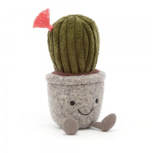 Plants Jellycat Amuseables Silly Succulent Barrel Cactus 19cm x 7cm x 7cm Verde Costa Rica | 70821-TBDQ