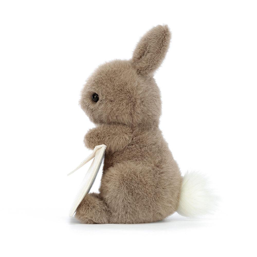 Conejo Jellycat Messenger Bunny 19cm x 12cm x 12cm Marrones  Costa Rica |  95317-ZOHP