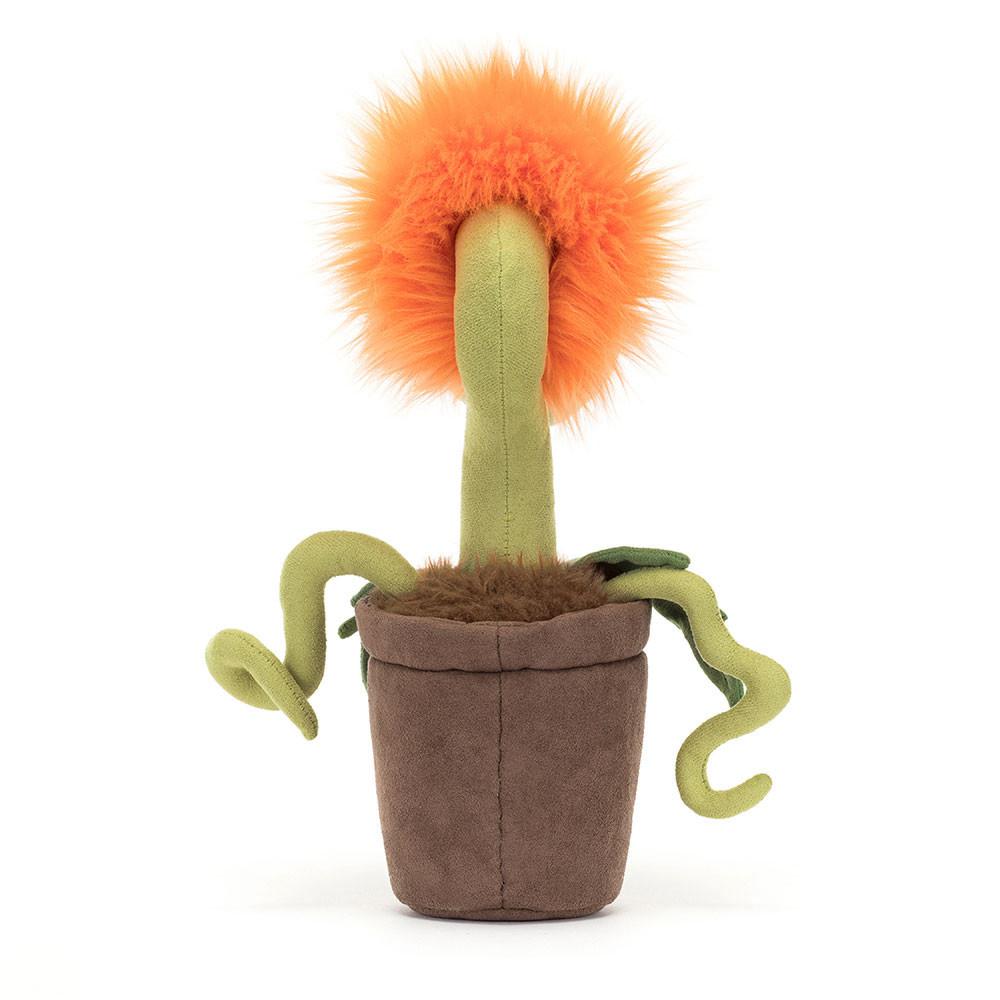 Plants Jellycat Amuseables Carniflore Tammie 27cm x 8cm x 8cm Naranjas  Costa Rica |  37652-AWSN