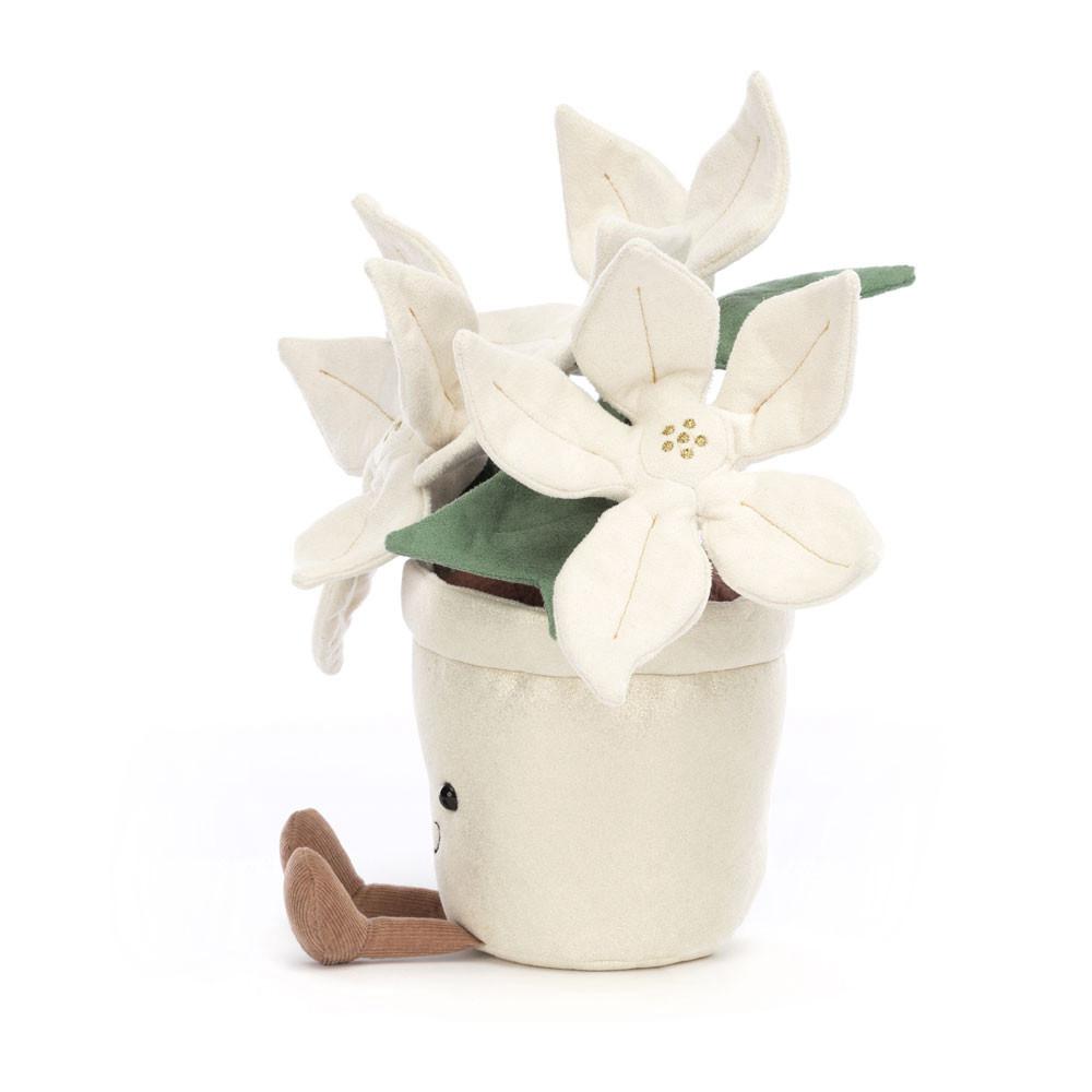 Plants Jellycat Amuseables Gold Poinsettia 25cm x 10cm x 10cm Blancas  Costa Rica |  47230-KNRS