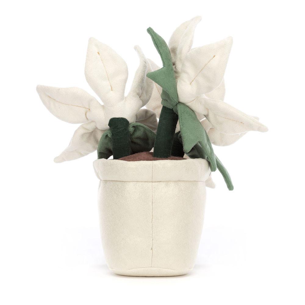 Plants Jellycat Amuseables Gold Poinsettia 25cm x 10cm x 10cm Blancas  Costa Rica |  47230-KNRS